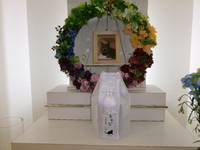 日立市愛猫ちょびちゃん