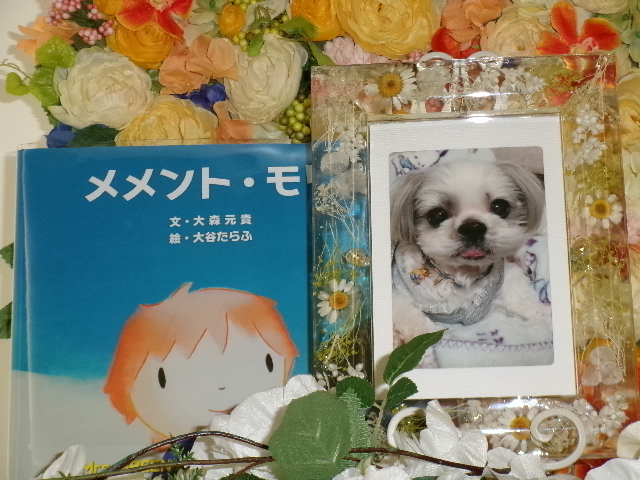 駒場家愛犬ペロちゃん.JPG