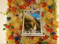 茨城町サーバルキャット・メルモちゃん