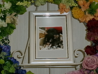 笠間市ファンシーマウスももこちゃん