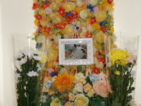 笠間市愛猫まるちゃん