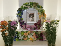 水戸市愛猫チャコちゃん