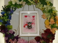 水戸市愛犬くぅちゃん