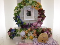 水戸市愛チンチラもふちゃん