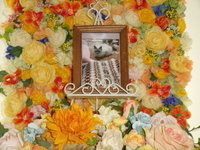 鹿嶋市愛猫シェリちゃん