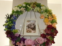 石岡市ハムスターびあちゃん