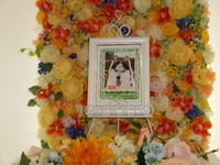 水戸市愛犬マリちゃん