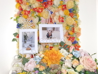 水戸市愛犬永遠（とわ）ちゃん