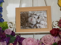 水戸市ハムスター・モカちゃん