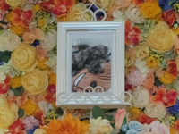 水戸市愛犬プクちゃん