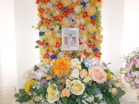 常陸大宮市愛猫チーちゃん