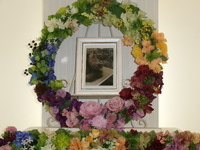 水戸市愛猫レオちゃん