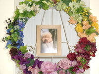 水戸市愛犬ビビちゃん