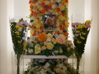 小美玉市愛猫ちゃとちゃん