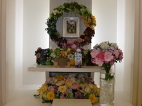 水戸市愛犬チョコちゃん