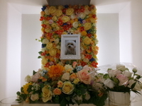 水戸市愛犬もこちゃん