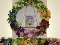 水戸市ハムスターだいふくちゃん