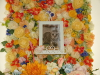 水戸市愛猫ミーちゃん