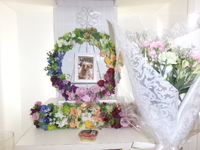 日立市愛犬チビちゃん