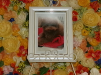 水戸市愛犬ひかりちゃん