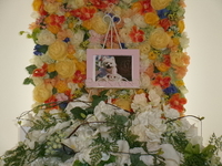 水戸市愛犬いちごちゃん