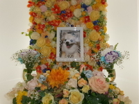 茨城町愛犬ルナちゃん