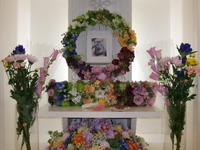 水戸市愛猫ミルクちゃん