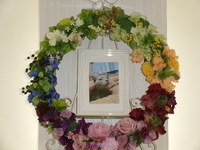 水戸市愛猫ウーちゃん