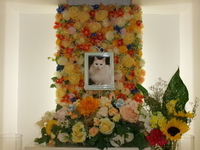 常陸大宮市愛猫もなかちゃん