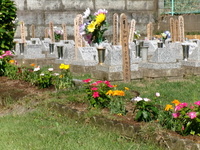 水戸ペットセレモニー霊園からのお知らせ