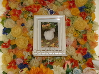 水戸市愛猫シロちゃん