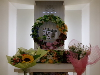 水戸市愛犬ハナちゃん