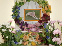 常陸大宮市愛犬ラブちゃん