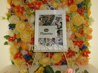 水戸市愛猫アルちゃん