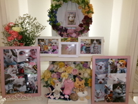 常陸大宮市愛犬うにちゃん