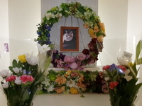 水戸市愛猫ミッキーちゃん