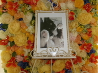 水戸市愛猫ゆえちゃん