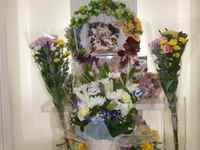 那珂市愛猫さらちゃん