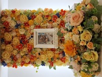 水戸市愛猫のらちゃん