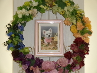 小美玉市愛犬フクちゃん