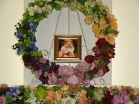 ひたちなか市ゴールデンハムスター・LiLi（リリ）ちゃん