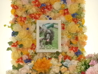 かすみがうら市愛犬Ｌｉｎｋちゃん