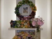 水戸市愛猫空（シエル）ちゃん