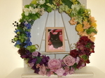 城里町愛猫秋音ちゃん
