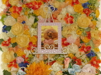 水戸市愛犬りんごちゃん