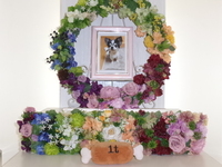 日立市愛犬パンちゃん