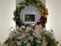 水戸市愛猫ちょびちゃん