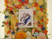 水戸市愛猫ミミちゃん