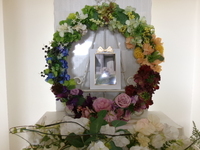 城里町愛犬ドムちゃん