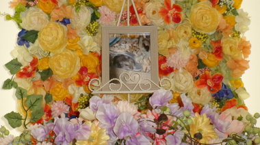 
              ひたちなか市ハムスター・ムンちゃん